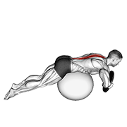 weighted hyperextension (on stability ball) dimostrazione dell’esercizio