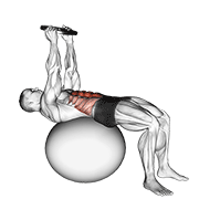 weighted overhead crunch (on stability ball) egzersiz gösterimi