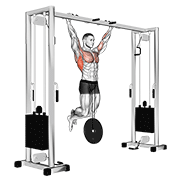 weighted pull-up dimostrazione dell’esercizio