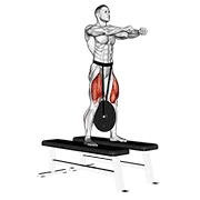weighted squat exercise demonstration