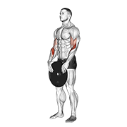 weighted standing curl exercise demonstration