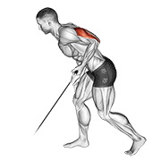 cable kickback exercise demonstration