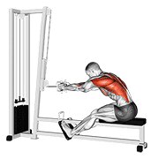 cable seated row exercise demonstration
