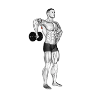 dumbbell upright shoulder external rotation 动作演示