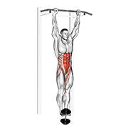 weighted hanging leg-hip raise egzersiz gösterimi