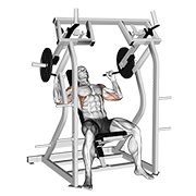 lever shoulder press v. 2 exercise demonstration