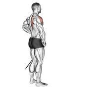 band front lateral raise exercise demonstration