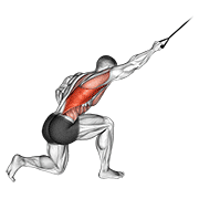 band kneeling one arm pulldown exercise demonstration