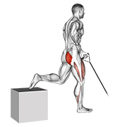 band one arm single leg split squat dimostrazione dell’esercizio
