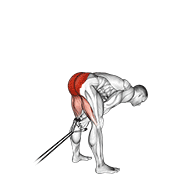 band pull through exercise demonstration