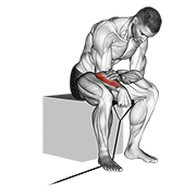 band reverse wrist curl exercise demonstration
