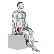 band seated hip internal rotation exercise demonstration