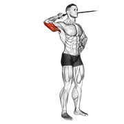 band side triceps extension dimostrazione dell’esercizio