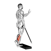 band single leg calf raise egzersiz gösterimi