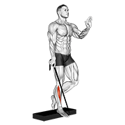 band single leg reverse calf raise 动作演示