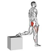 band single leg split squat dimostrazione dell’esercizio