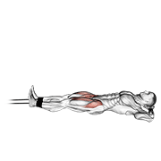 band lying straight leg raise exercise demonstration