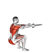 band squat row exercise demonstration