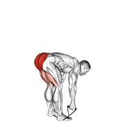 band stiff leg deadlift exercise demonstration