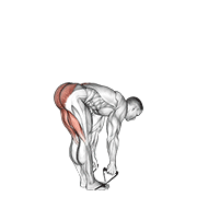 band straight leg deadlift egzersiz gösterimi