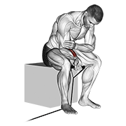band wrist curl egzersiz gösterimi