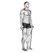 band shrug exercise demonstration
