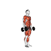 dumbbell burpee dimostrazione dell’esercizio