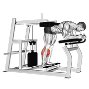lever donkey calf raise exercise demonstration