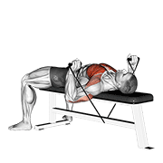 band bench press exercise demonstration
