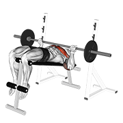 barbell reverse grip decline bench press exercise demonstration