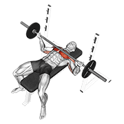 barbell wide reverse grip bench press exercise demonstration