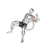 cable one arm incline press on exercise ball dimostrazione dell’esercizio