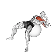 cable one arm press on exercise ball exercise demonstration