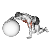 chest stretch with exercise ball dimostrazione dell’esercizio