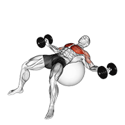 dumbbell fly on exercise ball exercise demonstration