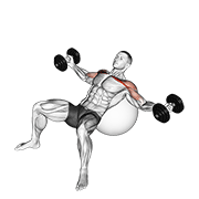 dumbbell incline fly on exercise ball exercise demonstration