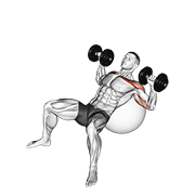 dumbbell incline press on exercise ball exercise demonstration