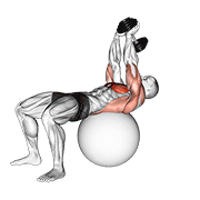 dumbbell lying pullover on exercise ball dimostrazione dell’esercizio