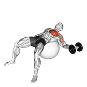 dumbbell one arm chest fly on exercise ball exercise demonstration