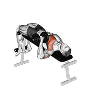 dumbbell one arm decline chest press 动作演示