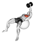 dumbbell one arm fly on exercise ball 动作演示