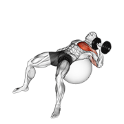 dumbbell one arm press on exercise ball egzersiz gösterimi