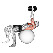 dumbbell one arm pullover on exercise ball exercise demonstration