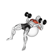 dumbbell press on exercise ball exercise demonstration