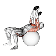 dumbbell pullover hip extension on exercise ball dimostrazione dell’esercizio