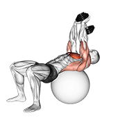 dumbbell pullover on exercise ball exercise demonstration