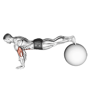 exercise ball pike push up dimostrazione dell’esercizio