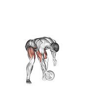 medicine ball chest push from 3 point stance 动作演示