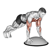 push up on bosu ball dimostrazione dell’esercizio