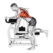 lever unilateral row exercise demonstration